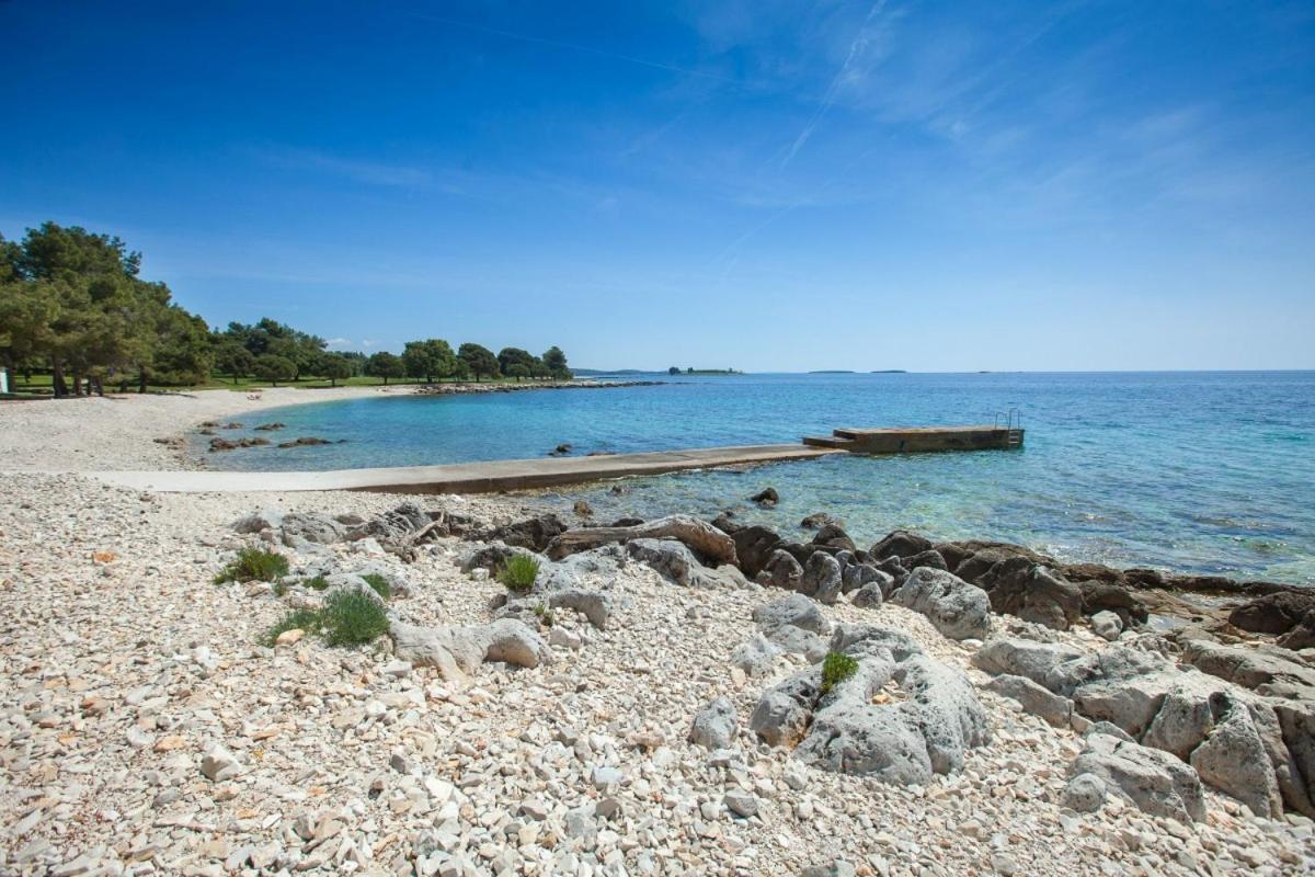 Dolly Completely Renovated 2023 * Rovinj